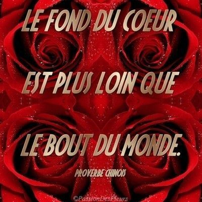 Afficher l’image source