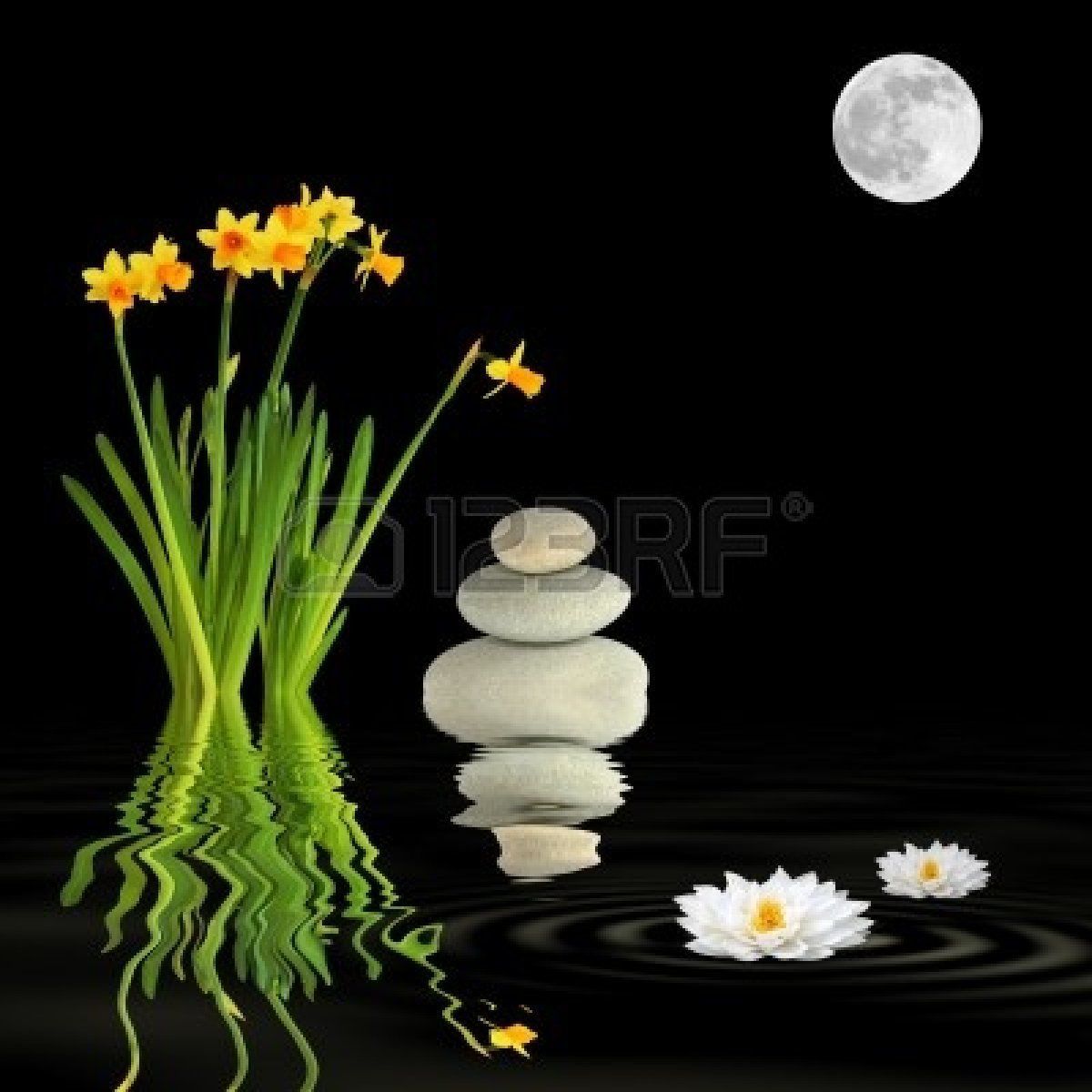 Ambiance Zen Ambiance Zen
