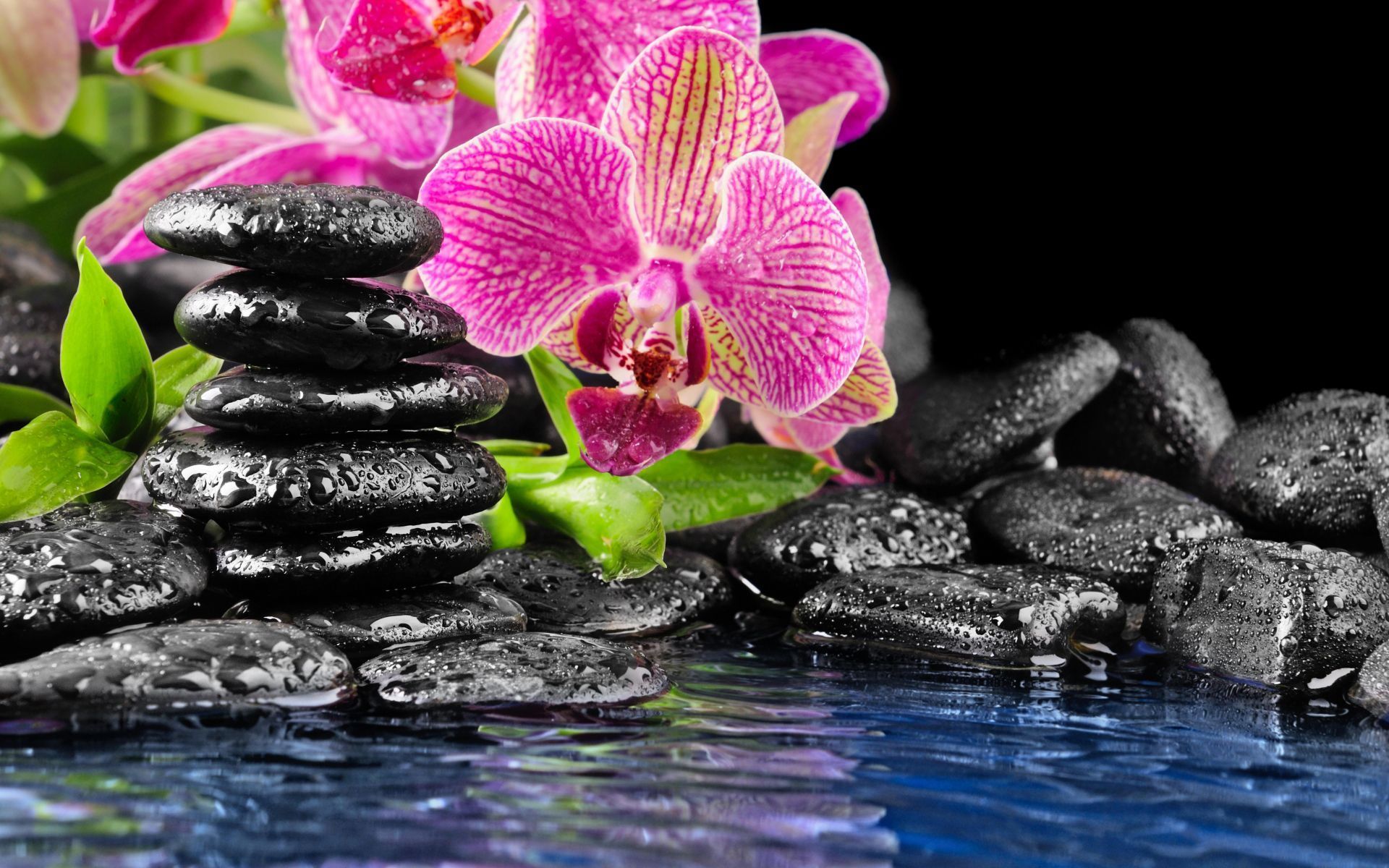 Ambiance zen